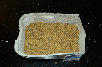 Egg carton top reused as a disposable cricket food bowl