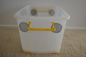 Storage box with mesh-covered ventilation holes for crickets