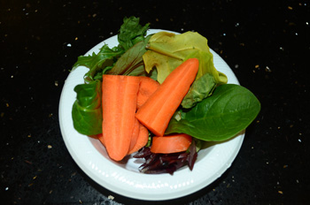 Fresh vegetables used as a water source for crickets