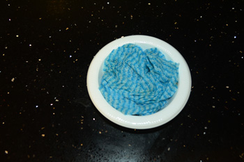 Damp cloth in a shallow dish for watering crickets