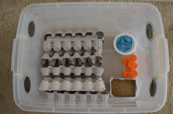 Storing Crickets