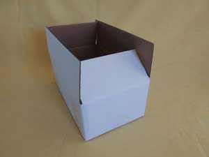 Cricket order box prepared with ventilation holes